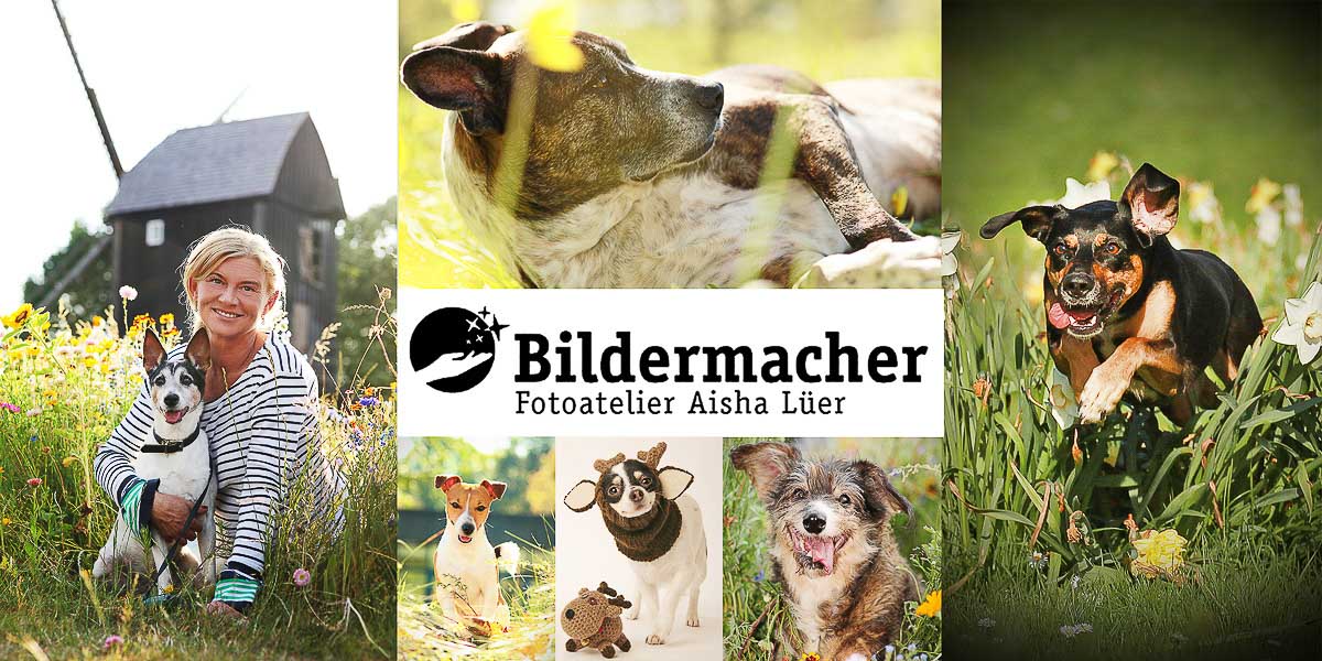 Galeriebild aus der Kategorie Tiere